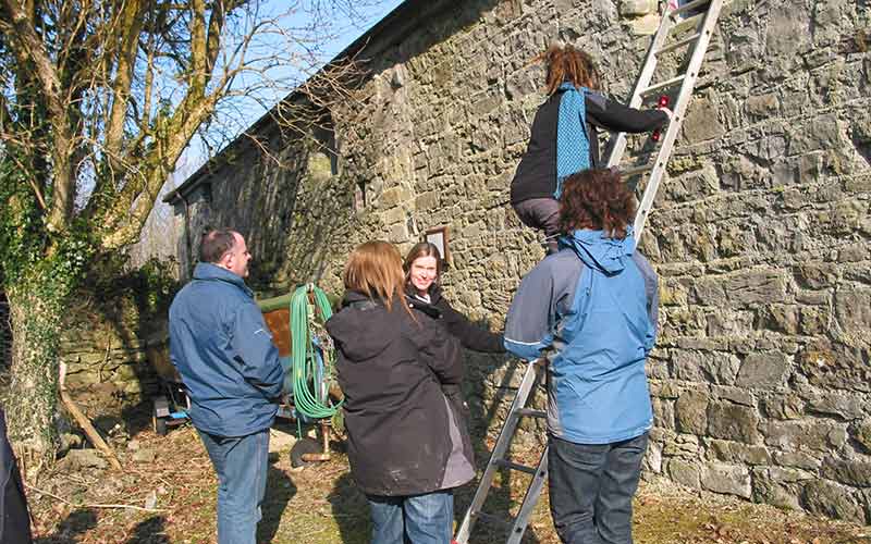 People surveying a bat roost
